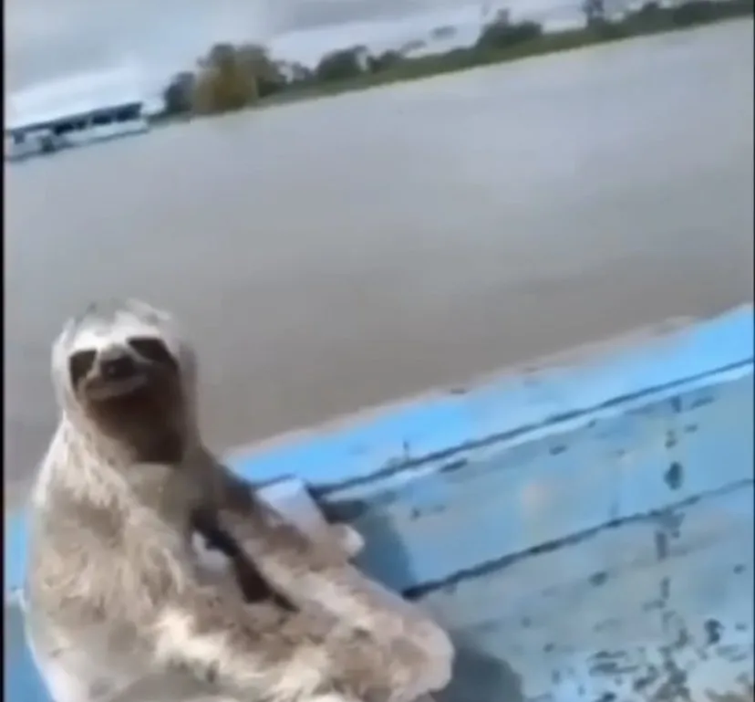 Local yard maintenance for residential properties in Tallahassee, FL by Woody's Lawn Restoration & Pressure Washing