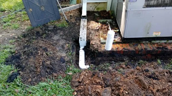 Woody's Lawn Restoration & Pressure Washing Logo