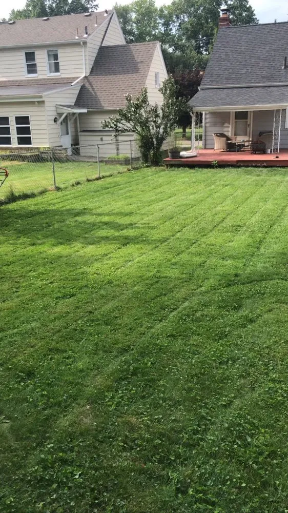 Reliable yard maintenance for beautiful yards across Boardman, OH - Woodys Lawn Service