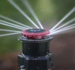 Expert landscaping services for homes across Arvada, CO - Woody's Lawn Sprinkler & Landscape