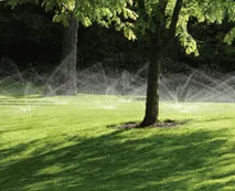 Expert yard cleanup service experts serving Arvada, CO - Woody's Lawn Sprinkler & Landscape