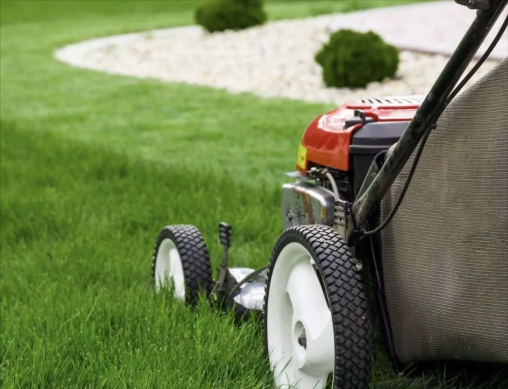 Trusted landscaping services with custom design across Murrells Inlet, SC - Woody’s Lawncare