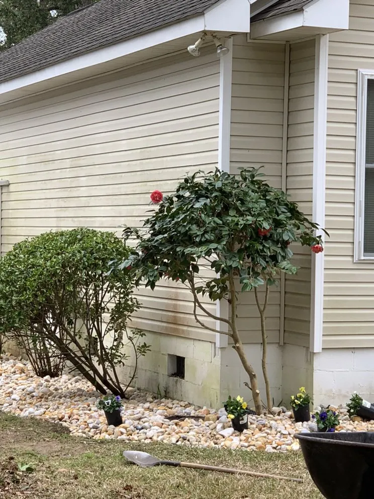 Affordable lawn mowing service in Murrells Inlet, SC - Woody’s Lawncare