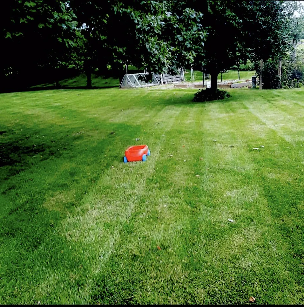 Trusted lawn mowing service for residential properties across Murrells Inlet, SC - Woody’s Lawncare