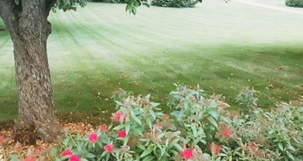 Local lawn mowing service near you in Murrells Inlet, SC by Woody’s Lawncare