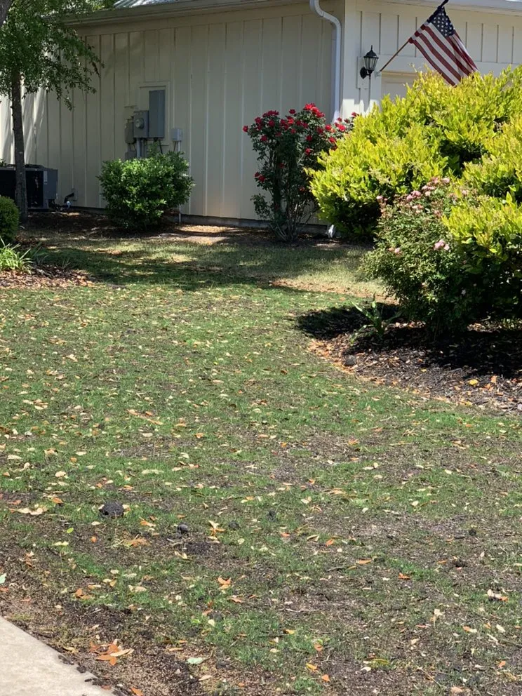 Trusted yard cleanup service in Murrells Inlet, SC by Woody’s Lawncare