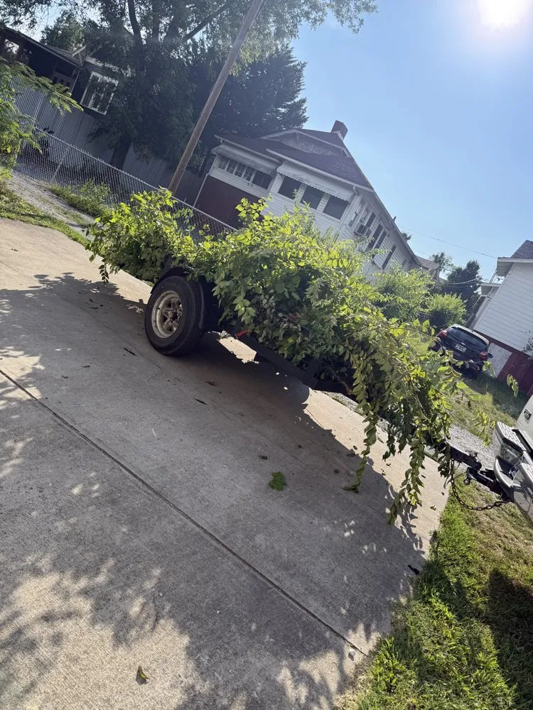 Custom residential landscaping in Cleveland, TN by Woodys Property Clean Outs