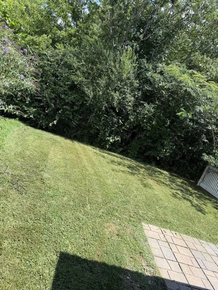 Affordable lawn mowing service experts serving Cleveland, TN - Woodys Property Clean Outs