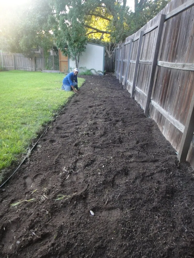 Local yard cleanup service in Austin, TX - Woody's Tree Service & Landscape