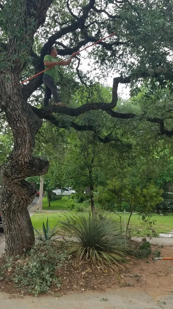 Expert outdoor landscaping in Austin, TX - Woody's Tree Service & Landscape