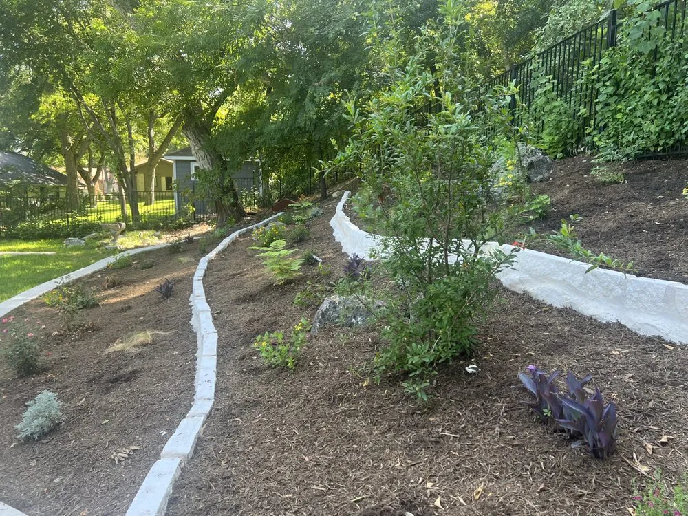 Expert yard cleanup service for homes across Austin, TX - Woody's Tree Service & Landscape