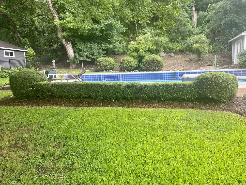 Reliable yard cleanup service near you across Austin, TX - Woody's Tree Service & Landscape