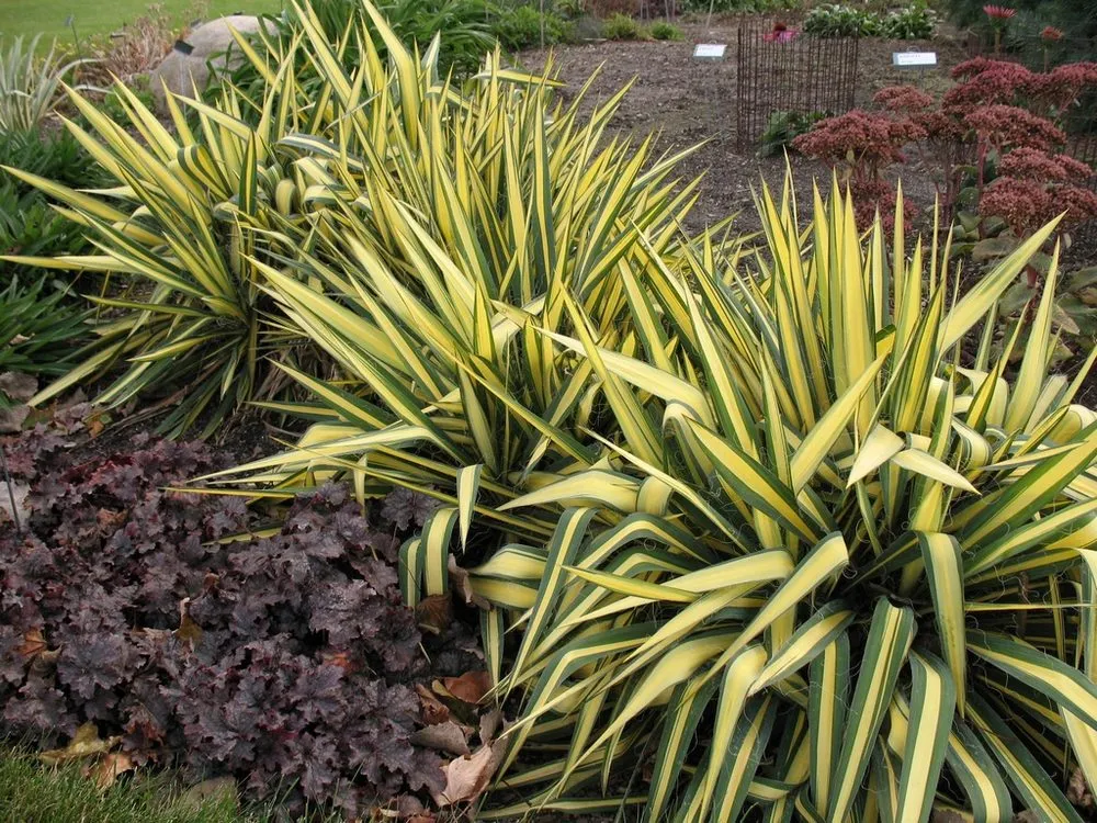 Affordable garden landscaping with custom design in Austin, TX by Woody's Tree Service & Landscape