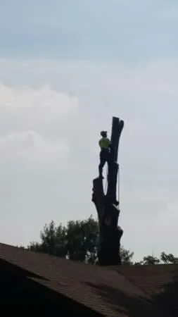 Affordable yard cleanup service experts serving Saint Louis, MO - Woolbright's Lawn & Tree Service