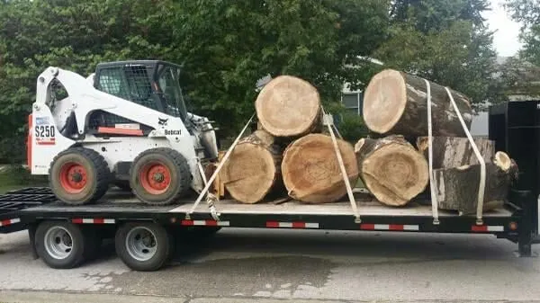 Professional outdoor landscaping in Saint Louis, MO by Woolbright's Lawn & Tree Service