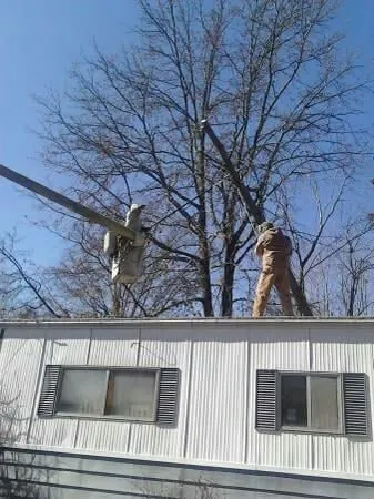 Reliable landscaping services experts serving Saint Louis, MO - Woolbright's Lawn & Tree Service