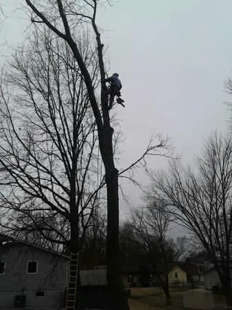 Reliable outdoor landscaping in Saint Louis, MO - Woolbright's Lawn & Tree Service