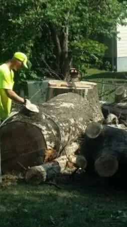 Expert landscaping services in Saint Louis, MO - Woolbright's Lawn & Tree Service