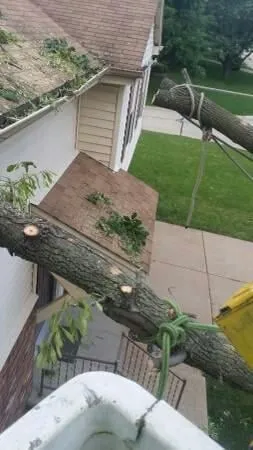 Custom landscape installation with custom design across Saint Louis, MO - Woolbright's Lawn & Tree Service