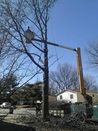 Trusted landscape installation in Saint Louis, MO by Woolbright's Lawn & Tree Service