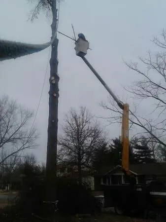 Trusted lawn care service in Saint Louis, MO by Woolbright's Lawn & Tree Service