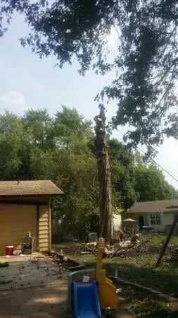 Trusted lawn mowing service for homes in Saint Louis, MO by Woolbright's Lawn & Tree Service