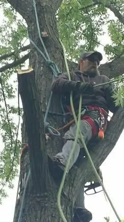 Trusted landscape design in Saint Louis, MO by Woolbright's Lawn & Tree Service