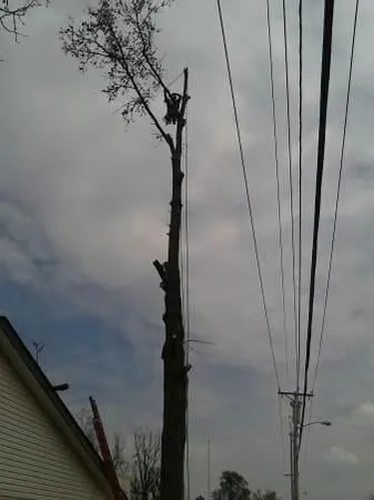 Trusted garden landscaping experts serving Saint Louis, MO - Woolbright's Lawn & Tree Service