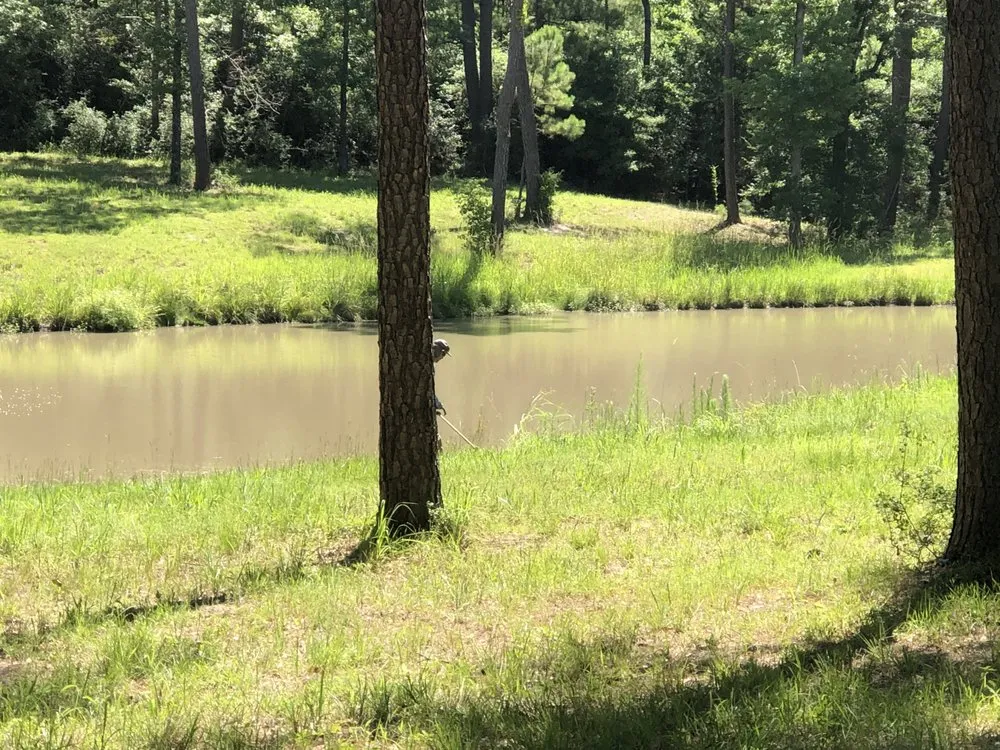 Affordable lawn mowing service in Livingston, TX - Woolsey’s Landscaping