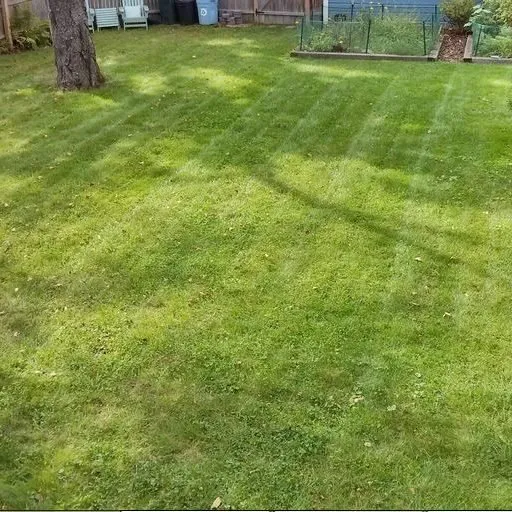 Top-rated landscape installation in Buffalo, MN by Wooly Solutions