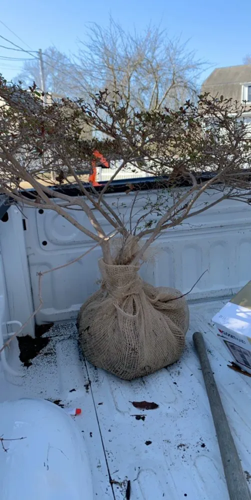 Professional lawn care service experts serving Marshfield, MA - Word of Mouth Cleaning and Landscaping