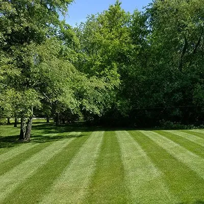 Custom landscaping services in Marshfield, MA - Word of Mouth Cleaning and Landscaping