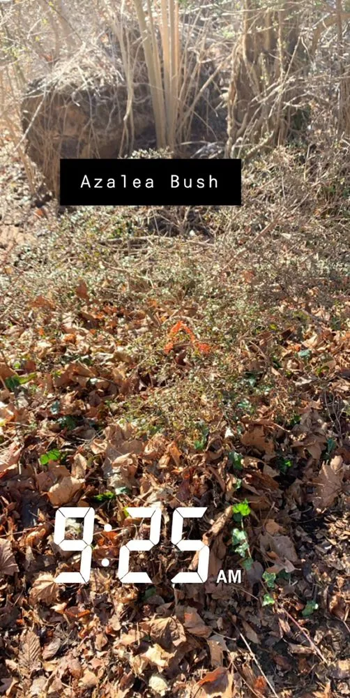 Expert garden landscaping near you across Marshfield, MA - Word of Mouth Cleaning and Landscaping