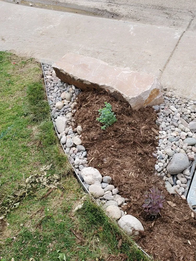 Professional lawn care service in Fort Collins, CO - Word of Mouth Landscaping