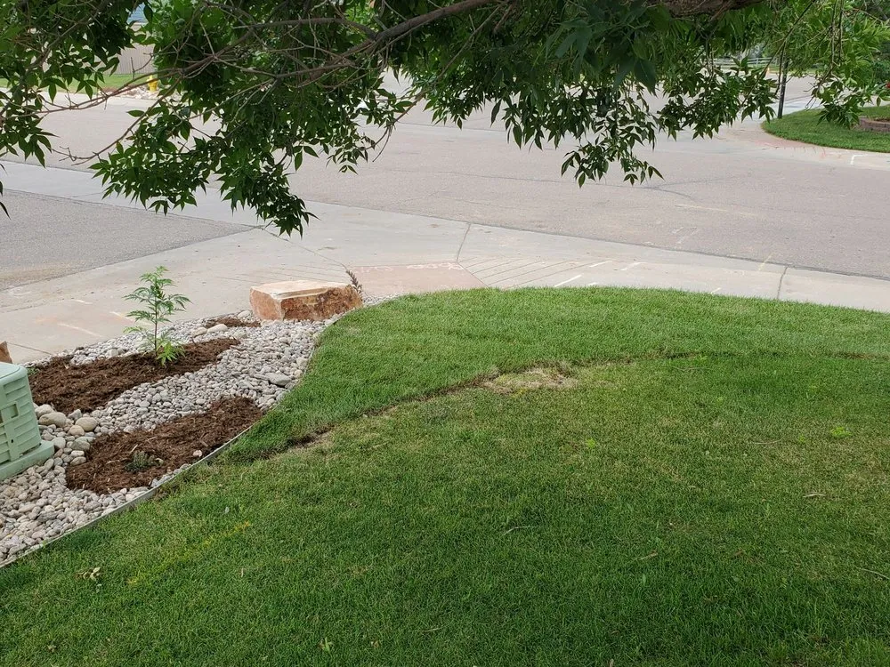 Professional landscaping services for beautiful yards across Fort Collins, CO - Word of Mouth Landscaping
