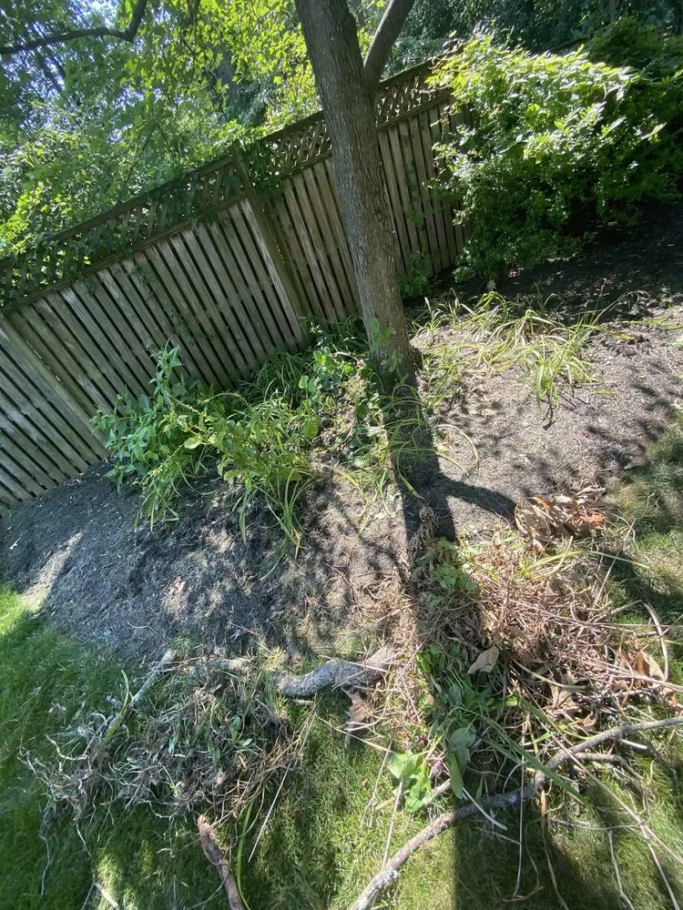 Professional landscape design for outdoor upgrades in Crofton, MD by Work by Rylan