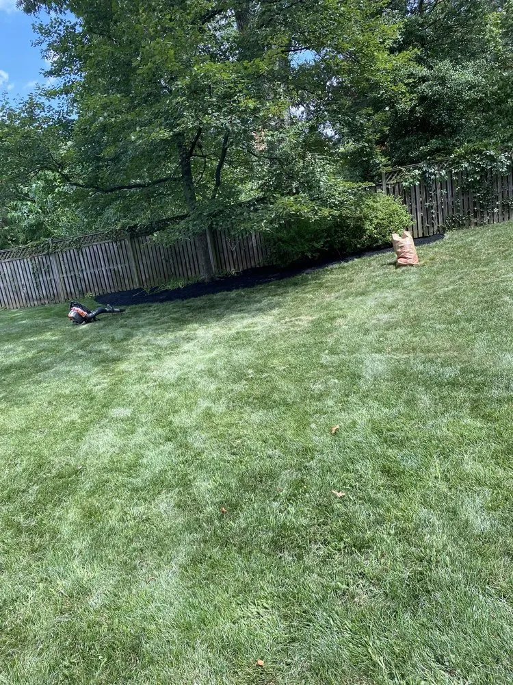 Trusted landscaping services experts serving Crofton, MD - Work by Rylan