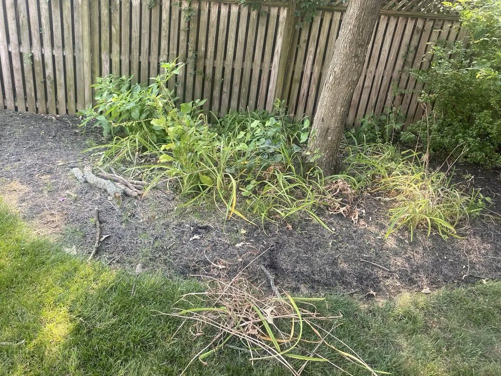 Custom landscape installation experts serving Crofton, MD - Work by Rylan