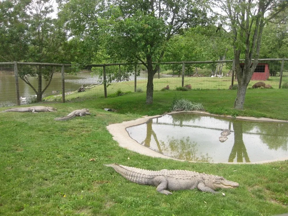 Top-rated yard maintenance for residential properties across Crofton, MD - Work by Rylan