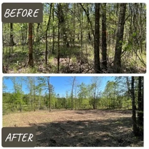 Top-rated yard maintenance for homes across Hope, AR - Work Done