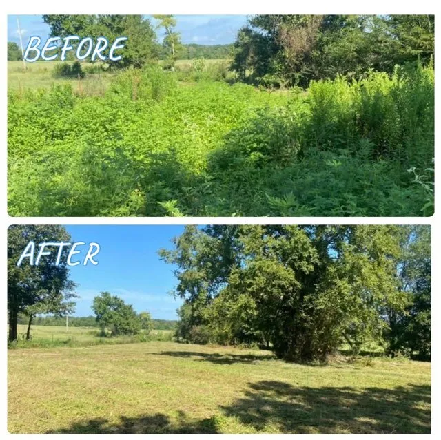Local yard cleanup service for homes in Hope, AR by Work Done