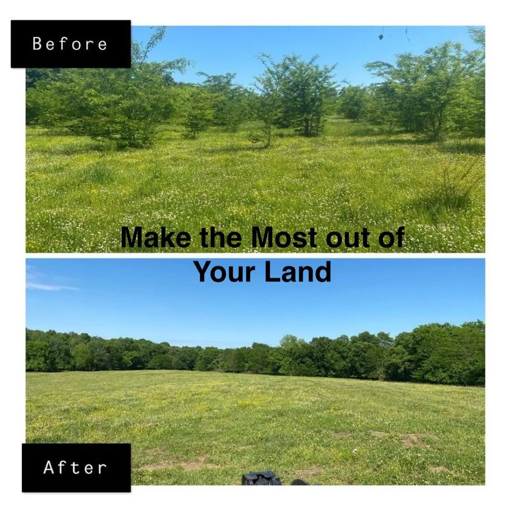 Top-rated lawn care service experts serving Hope, AR - Work Done