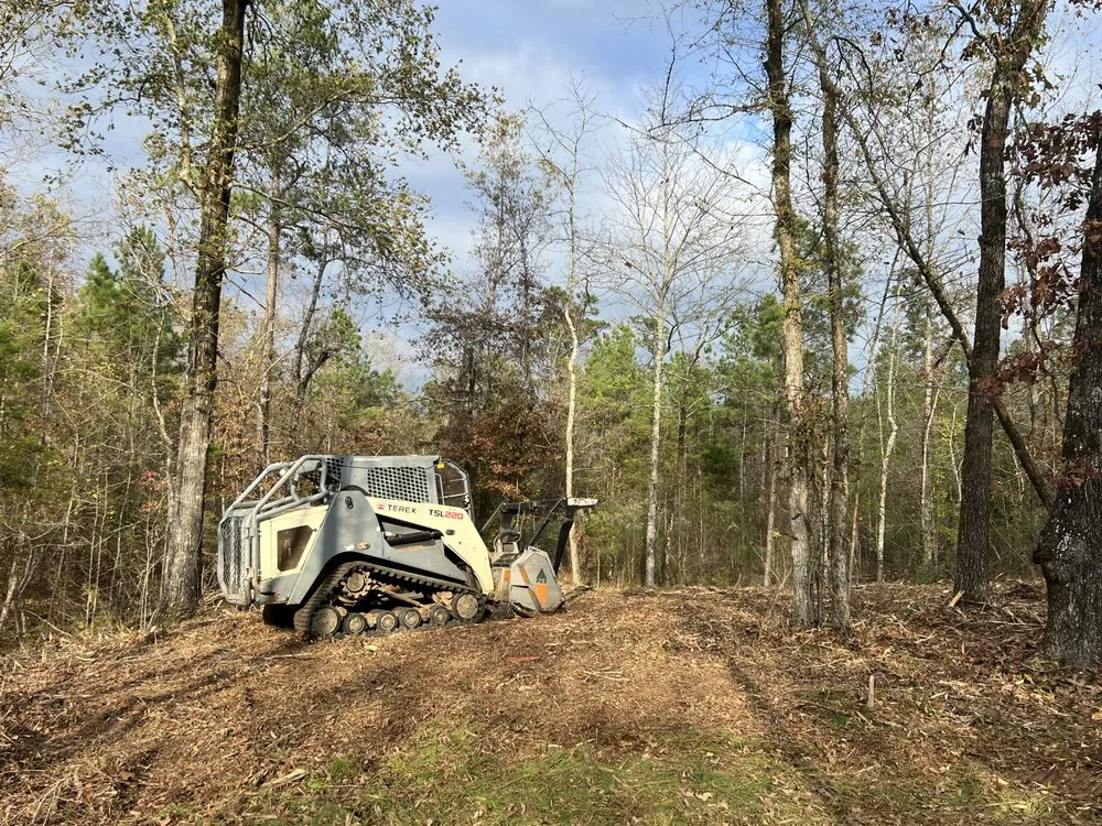 Expert yard cleanup service experts serving Hope, AR - Work Done
