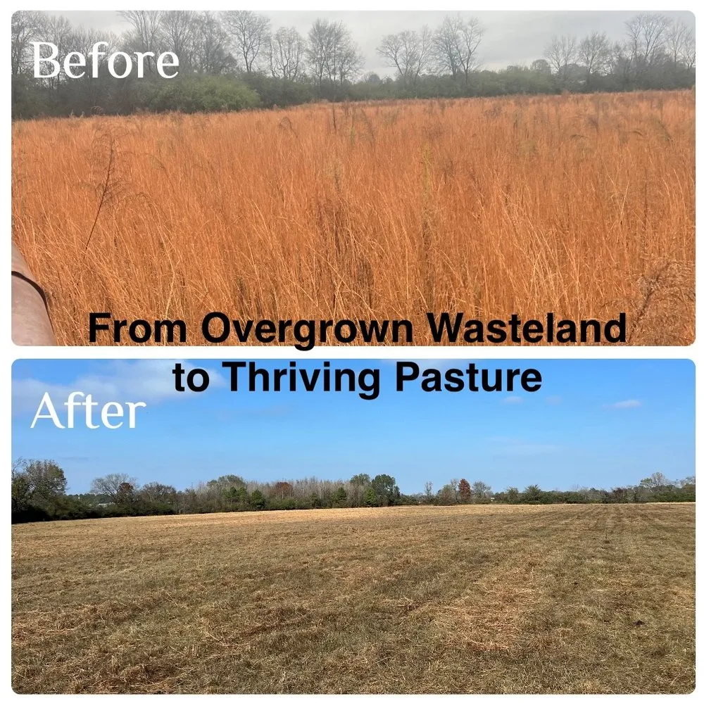 Top-rated yard cleanup service in Hope, AR - Work Done