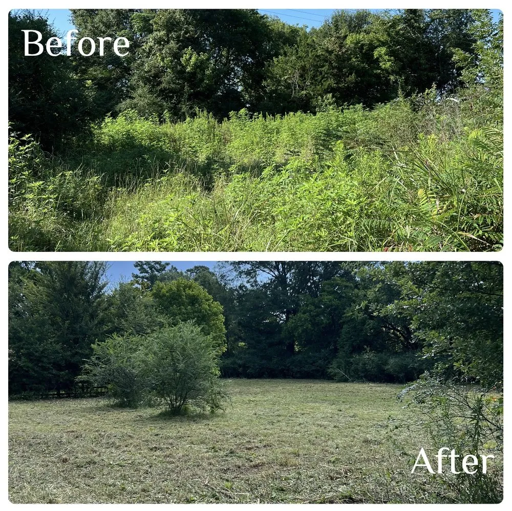 Expert lawn mowing service for year-round maintenance across Hope, AR - Work Done