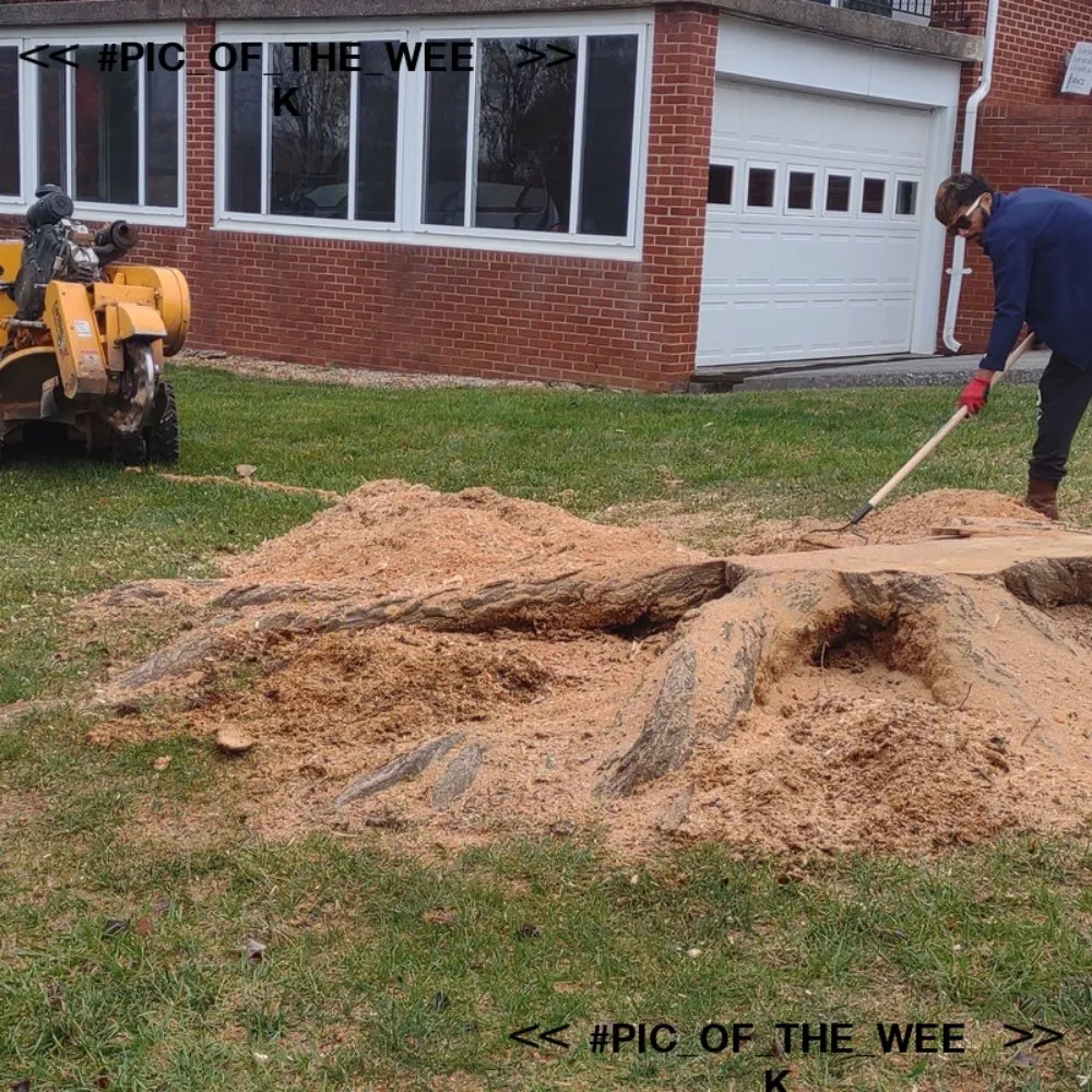 Trusted landscape design for year-round maintenance across Louisa, VA - Work Hard Play Hard Tree and Landscaping Services