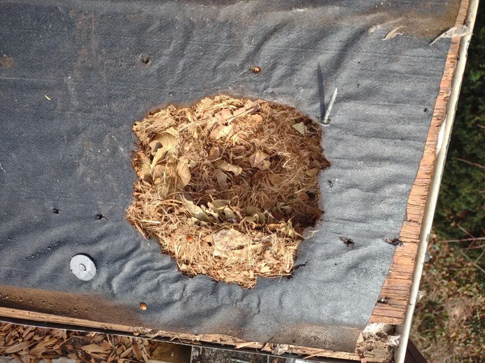 Custom garden landscaping in Louisa, VA - Work Hard Play Hard Tree and Landscaping Services