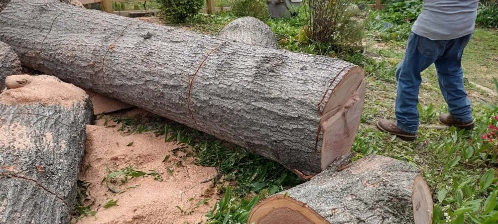 Local landscape design experts serving Louisa, VA - Work Hard Play Hard Tree and Landscaping Services