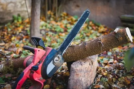 Custom lawn care service for residential properties across Louisa, VA - Work Hard Play Hard Tree and Landscaping Services