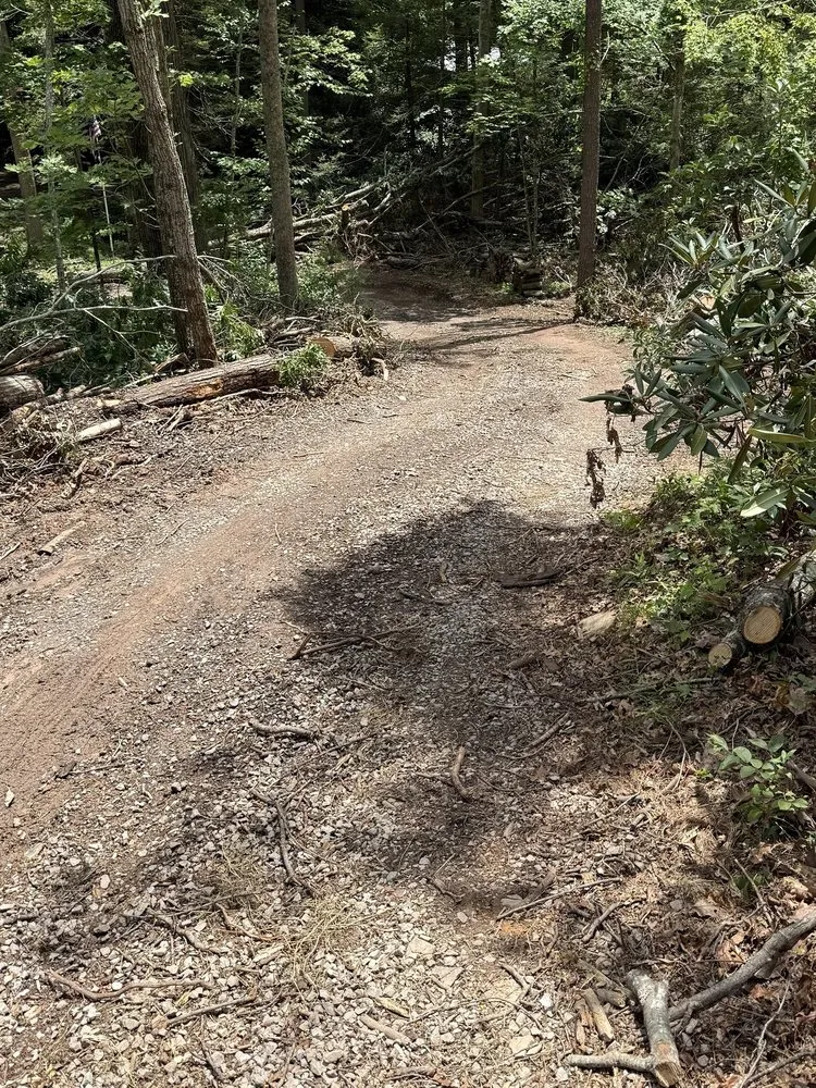 Local garden landscaping for homes in Louisa, VA by Work Hard Play Hard Tree and Landscaping Services